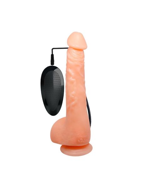 Penis realistyczny jądra przyssawka pilot 24cm