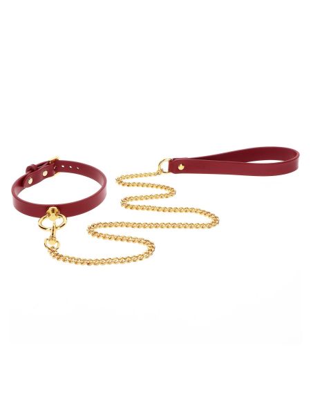 O-Ring Collar and Chain Leash - 4