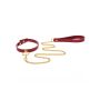 O-Ring Collar and Chain Leash - 7